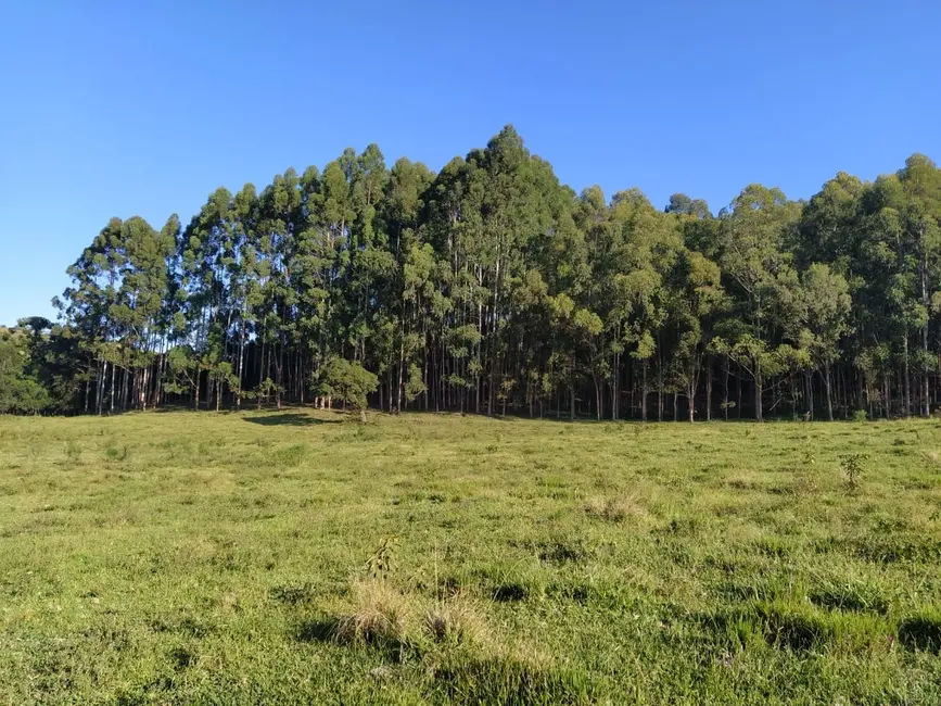 Foto 5 de Chácara à venda, 20000m2 em Cunha - SP