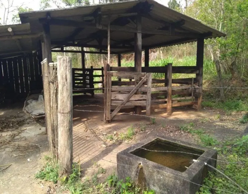 Foto 4 de Chácara com 3 quartos à venda, 120m2 em Cunha - SP