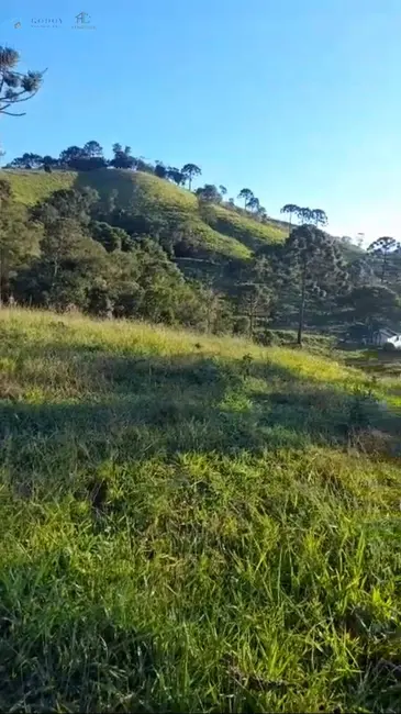 Foto 4 de Fazenda / Haras à venda, 16m2 em Cunha - SP