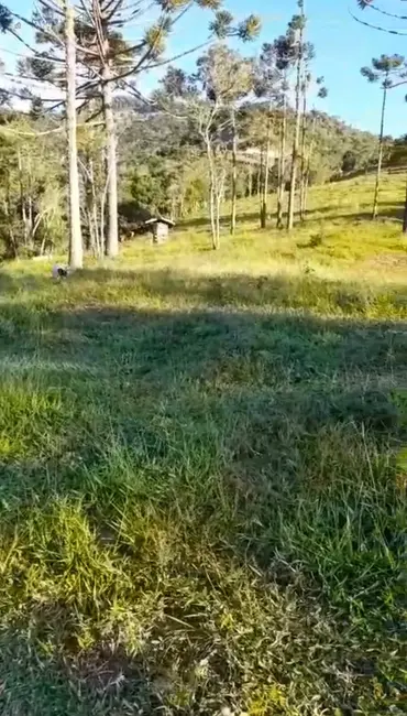 Foto 2 de Fazenda / Haras à venda, 16m2 em Cunha - SP