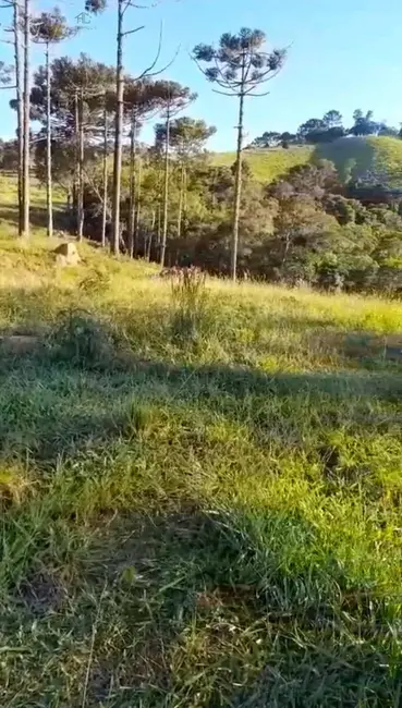 Foto 3 de Fazenda / Haras à venda, 16m2 em Cunha - SP