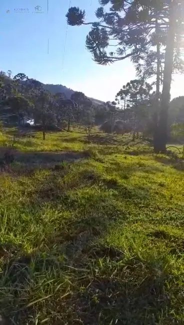 Foto 5 de Fazenda / Haras à venda, 16m2 em Cunha - SP