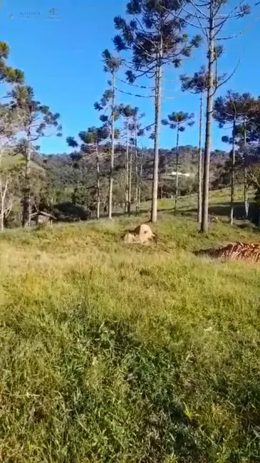 Foto 1 de Fazenda / Haras à venda, 16m2 em Cunha - SP