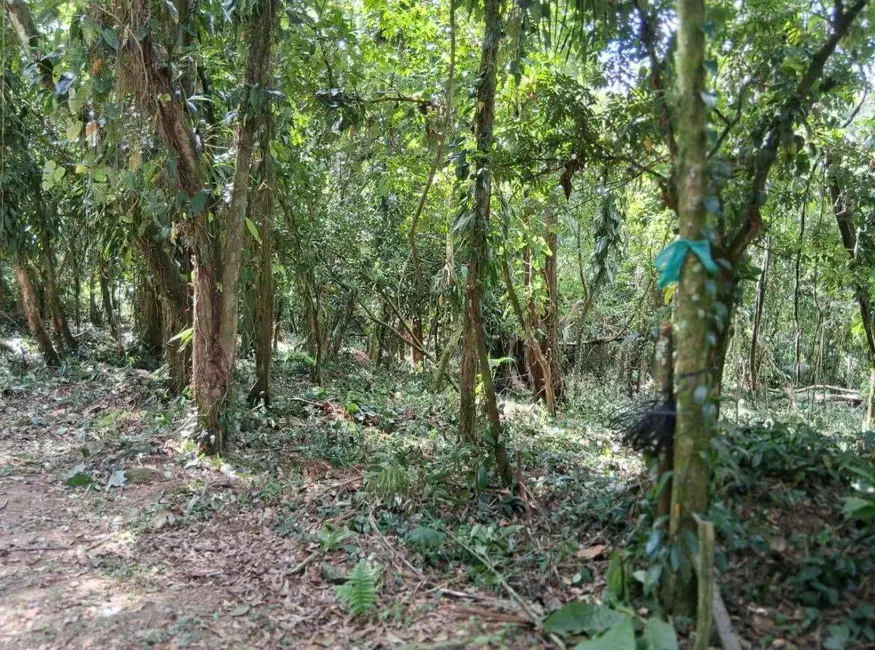 Terreno / Lote à venda, 1792m2 em Ubatuba - SP - imagem 3 Foto 3 de Terreno / Lote à venda, 1792m2 em Ubatuba - SP