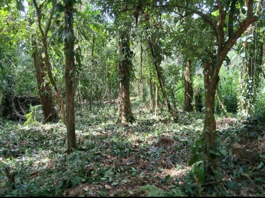 Terreno / Lote à venda, 1792m2 em Ubatuba - SP - imagem 4 Foto 4 de Terreno / Lote à venda, 1792m2 em Ubatuba - SP