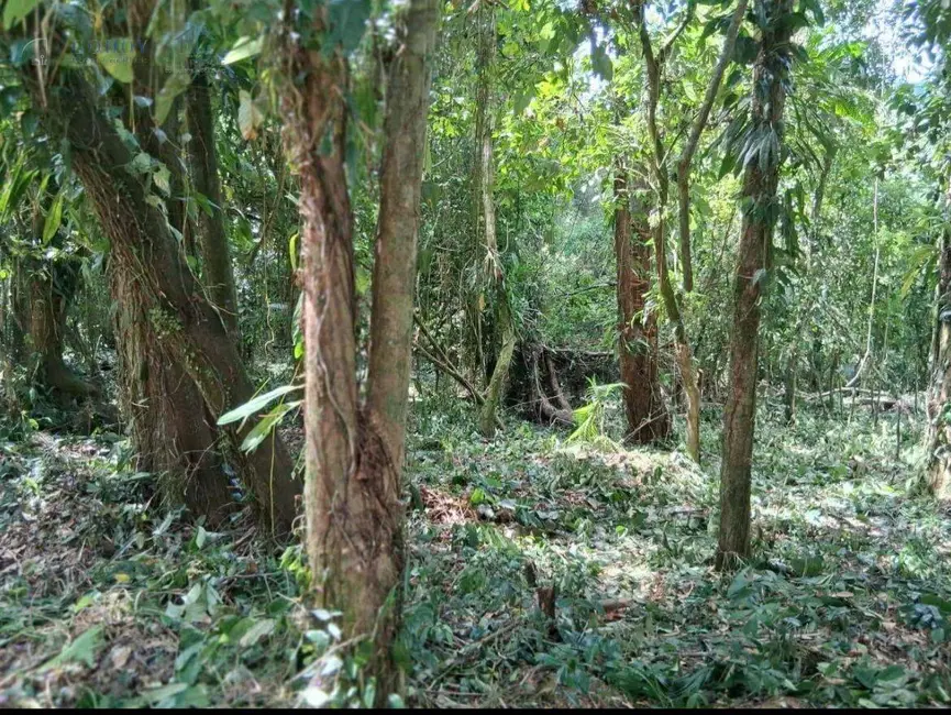 Foto 2 de Terreno / Lote à venda, 1792m2 em Ubatuba - SP