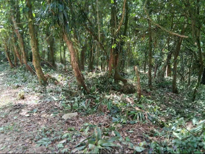 Terreno / Lote à venda, 1792m2 em Ubatuba - SP - imagem 5 Foto 5 de Terreno / Lote à venda, 1792m2 em Ubatuba - SP