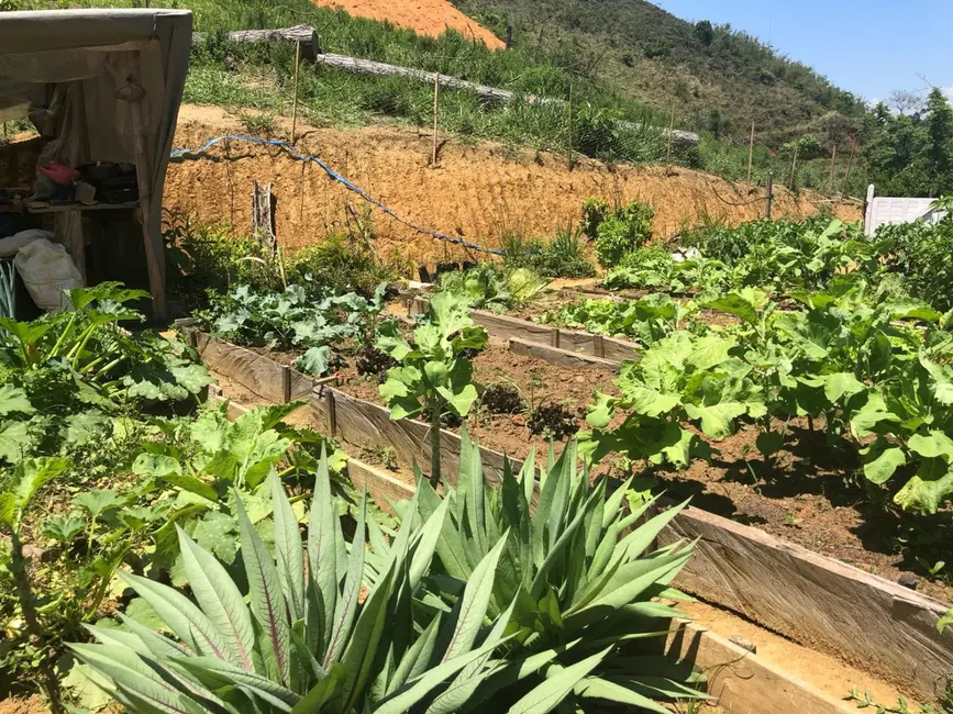 Foto 5 de Sítio / Rancho com 1 quarto à venda, 9m2 em Pindamonhangaba - SP