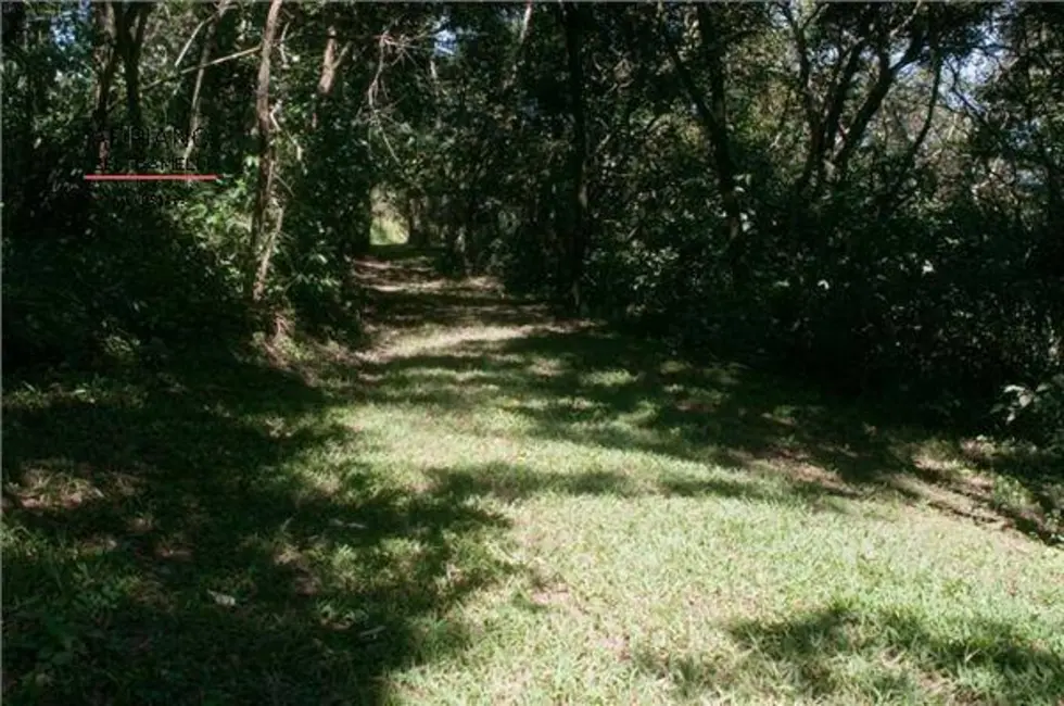 Foto 19 de Chácara à venda, 21000m2 em Joaquim Egídio, Campinas - SP