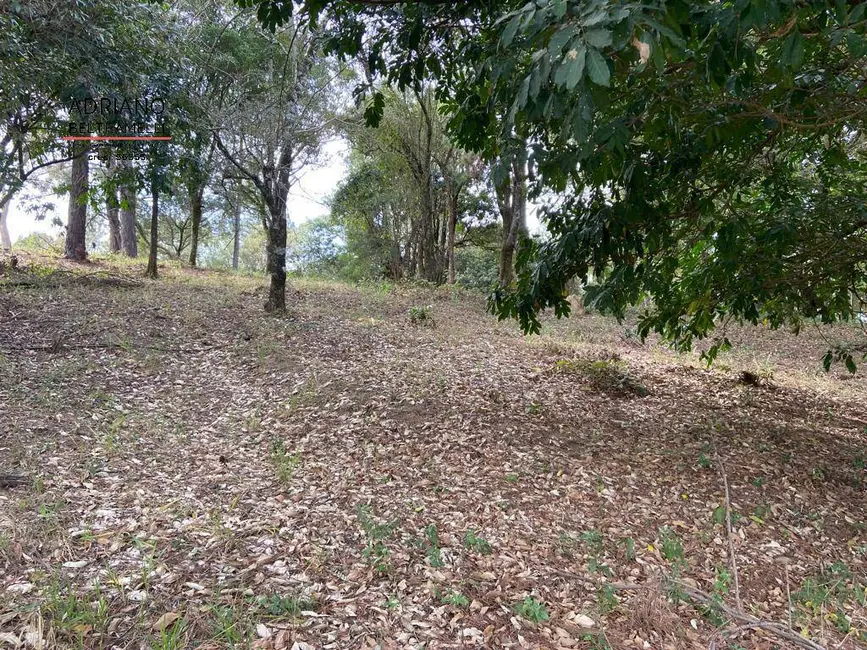 Foto 2 de Terreno / Lote à venda, 2500m2 em Joaquim Egídio, Campinas - SP