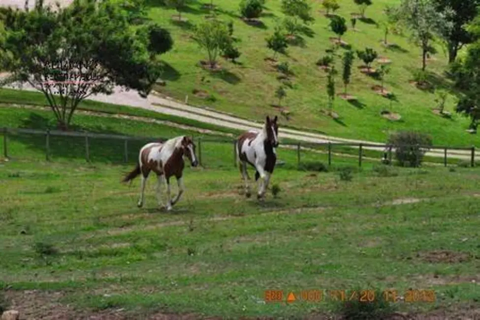 Foto 3 de Chácara com 5 quartos à venda e para alugar, 28000m2 em Joaquim Egídio, Campinas - SP