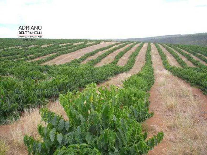 Foto 3 de Fazenda / Haras com 1 quarto à venda, 3186875m2 em Centro, Novo Cruzeiro - MG