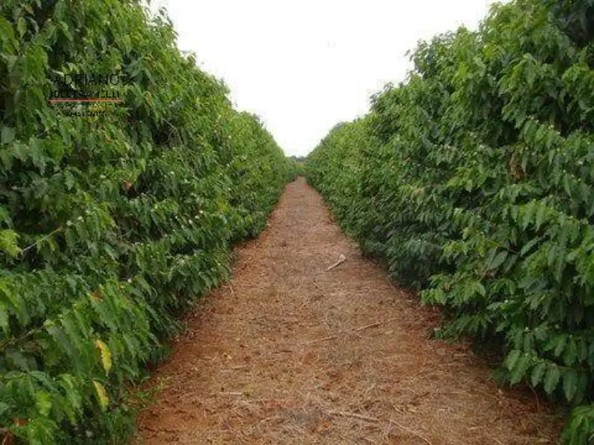 Foto 5 de Fazenda / Haras com 1 quarto à venda, 3186875m2 em Centro, Novo Cruzeiro - MG