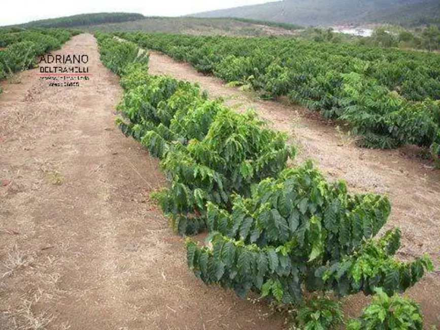 Foto 8 de Fazenda / Haras com 1 quarto à venda, 3186875m2 em Centro, Novo Cruzeiro - MG