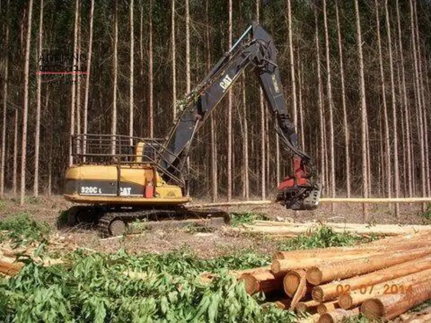 Foto 6 de Fazenda / Haras com 1 quarto à venda, 3186875m2 em Centro, Novo Cruzeiro - MG