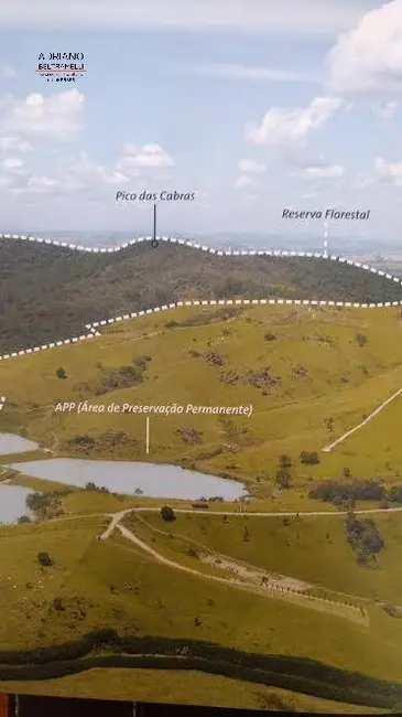 Foto 10 de Chácara à venda, 20000m2 em Joaquim Egídio, Campinas - SP