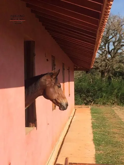 Foto 3 de Chácara com 4 quartos à venda, 55000m2 em Jaguariuna - SP