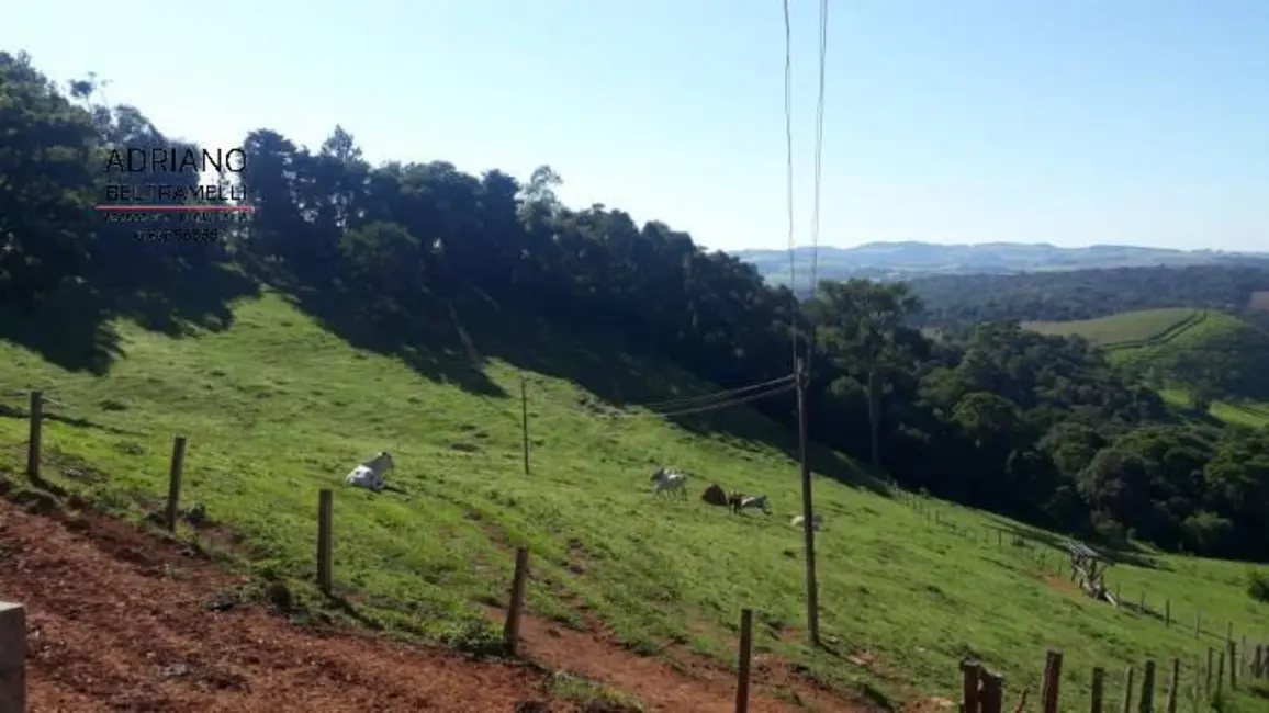 Sítio / Rancho com 3 quartos à venda, 266200m2 em Tuiuti - SP - imagem 7 Foto 7 de Sítio / Rancho com 3 quartos à venda, 266200m2 em Tuiuti - SP