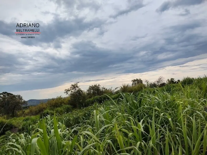Foto 7 de Chácara com 2 quartos à venda, 60000m2 em Joaquim Egídio, Campinas - SP