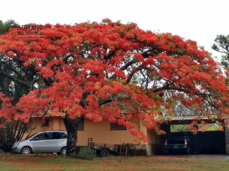 Foto 3 de Chácara com 3 quartos à venda, 25000m2 em Carlos Gomes, Campinas - SP