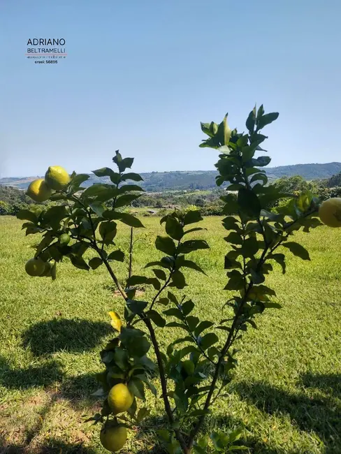 Foto 5 de Sítio / Rancho com 4 quartos à venda, 40000m2 em Joaquim Egídio, Campinas - SP
