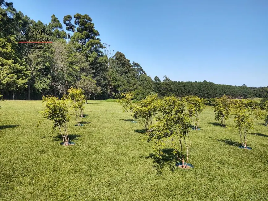 Foto 5 de Chácara com 4 quartos à venda, 40000m2 em Campinas - SP