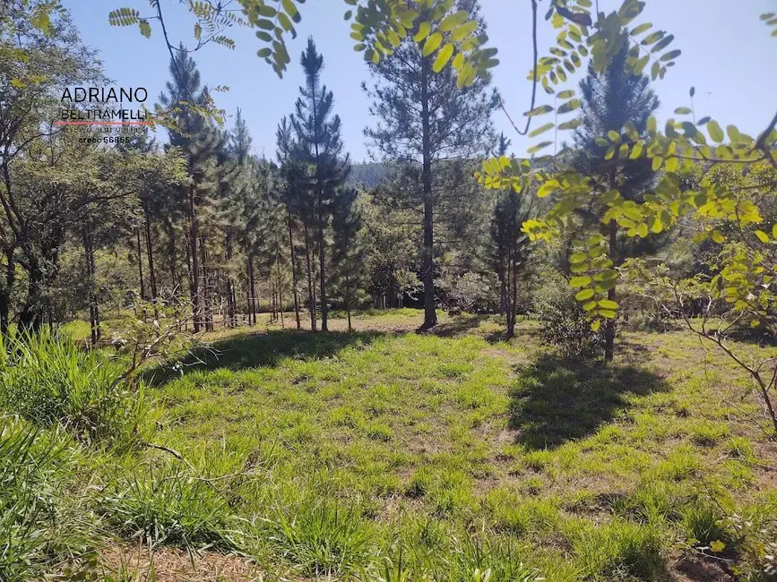 Terreno / Lote à venda, 2660m2 em Joaquim Egídio, Campinas - SP - imagem 9 Foto 9 de Terreno / Lote à venda, 2660m2 em Joaquim Egídio, Campinas - SP