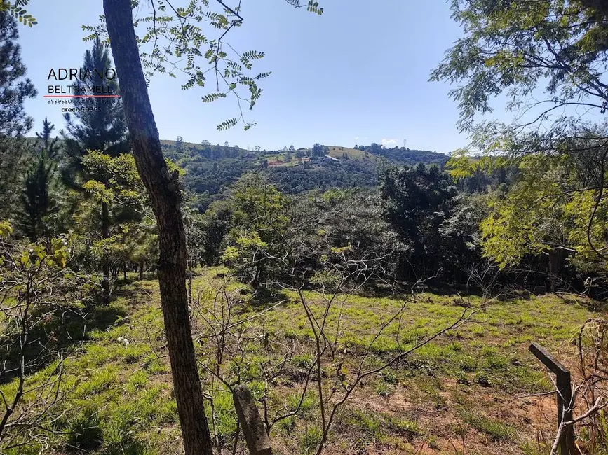 Terreno / Lote à venda, 2660m2 em Joaquim Egídio, Campinas - SP - imagem 8 Foto 8 de Terreno / Lote à venda, 2660m2 em Joaquim Egídio, Campinas - SP