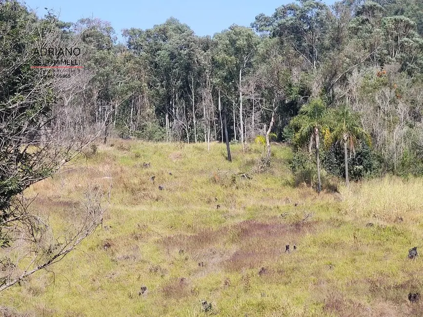 Foto 2 de Chácara com 1 quarto à venda, 20950m2 em Joaquim Egídio, Campinas - SP