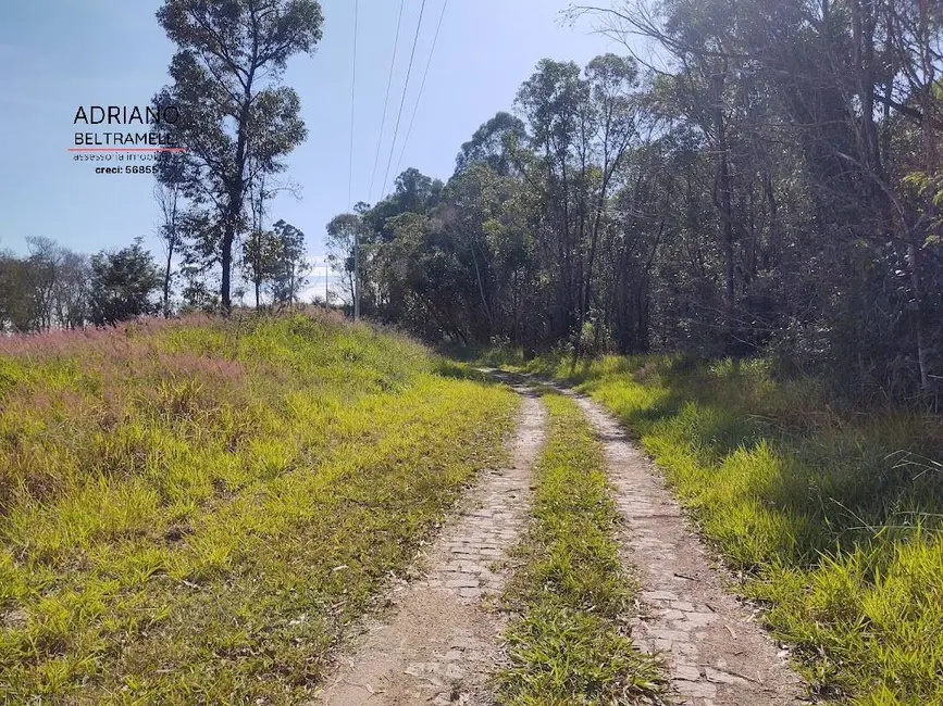 Foto 4 de Chácara à venda, 20000m2 em Joaquim Egídio, Campinas - SP