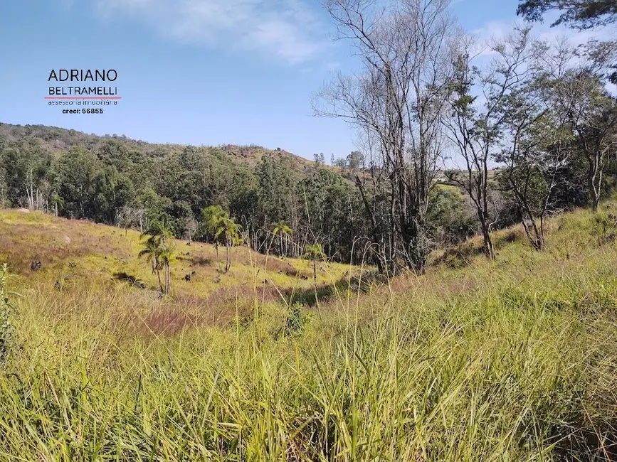 Foto 6 de Chácara à venda, 20000m2 em Joaquim Egídio, Campinas - SP