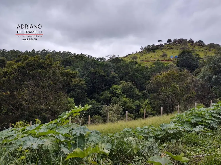 Foto 8 de Chácara com 1 quarto à venda, 37000m2 em Joaquim Egídio, Campinas - SP