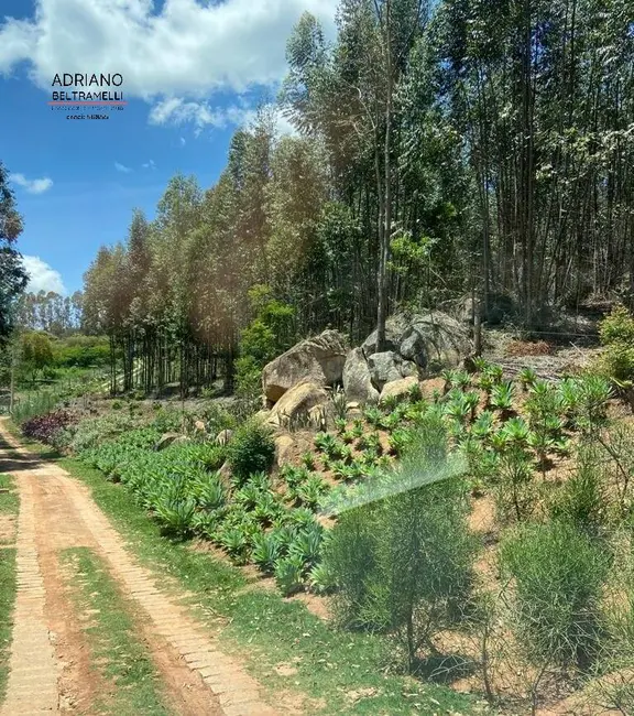 Foto 5 de Sítio / Rancho com 5 quartos à venda, 96800m2 em Joaquim Egídio, Campinas - SP
