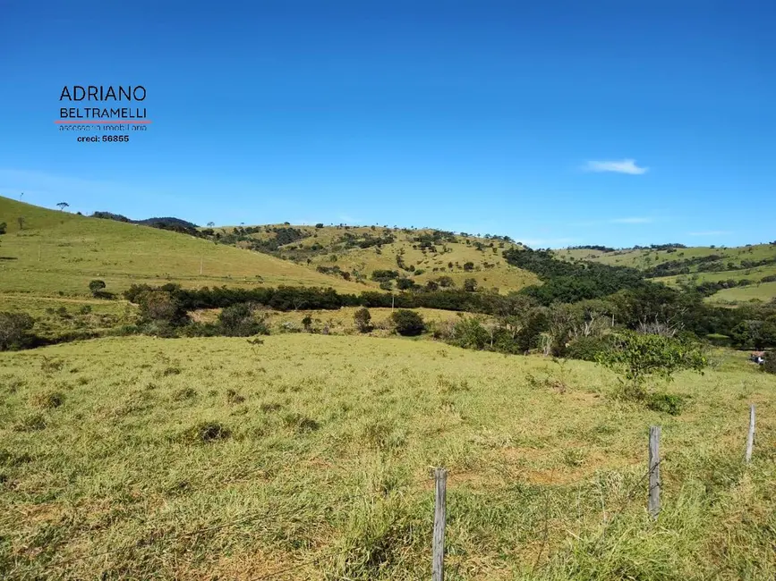 Fazenda / Haras à venda, 218m2 em Itapira - SP - imagem 4 Foto 4 de Fazenda / Haras à venda, 218m2 em Itapira - SP