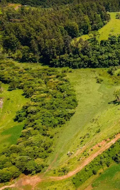Fazenda / Haras à venda, 73m2 em Joaquim Egídio, Campinas - SP - imagem 9 Foto 9 de Fazenda / Haras à venda, 73m2 em Joaquim Egídio, Campinas - SP
