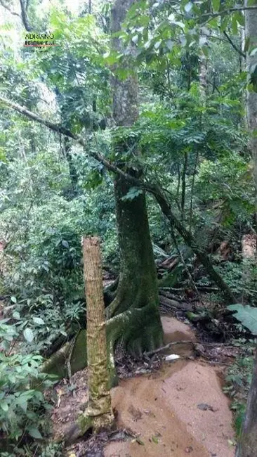 Foto 11 de Chácara à venda, 82000m2 em Joaquim Egídio, Campinas - SP