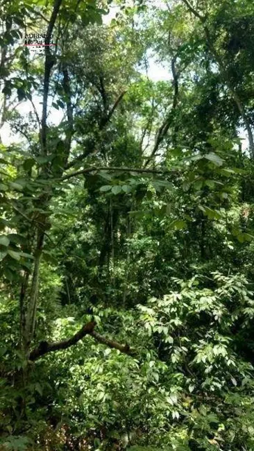 Foto 10 de Chácara à venda, 82000m2 em Joaquim Egídio, Campinas - SP