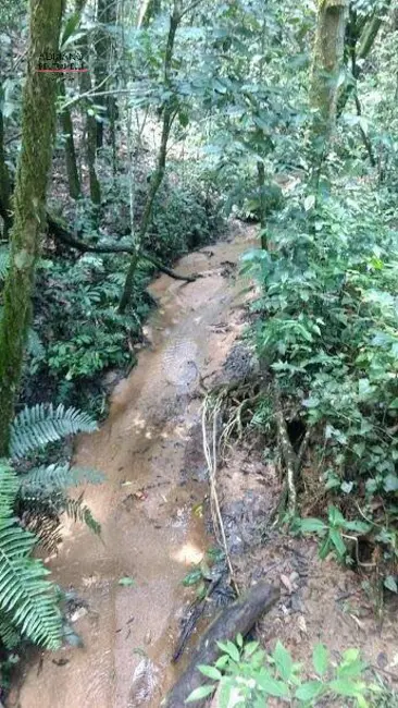 Foto 9 de Chácara à venda, 82000m2 em Joaquim Egídio, Campinas - SP