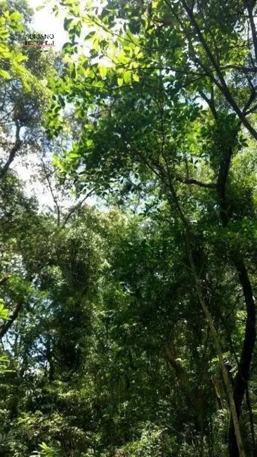 Foto 27 de Chácara à venda, 82000m2 em Joaquim Egídio, Campinas - SP
