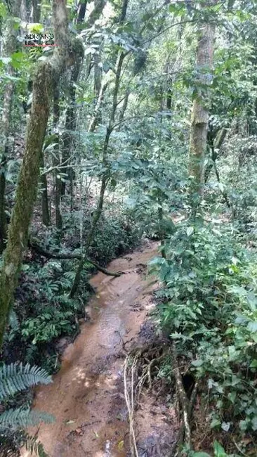 Foto 6 de Chácara à venda, 82000m2 em Joaquim Egídio, Campinas - SP