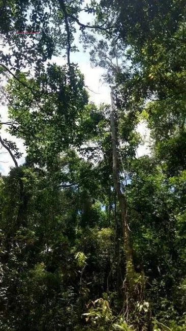 Foto 30 de Chácara à venda, 82000m2 em Joaquim Egídio, Campinas - SP