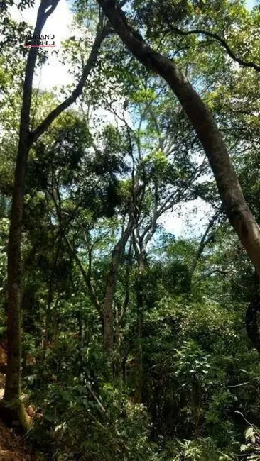 Foto 25 de Chácara à venda, 82000m2 em Joaquim Egídio, Campinas - SP