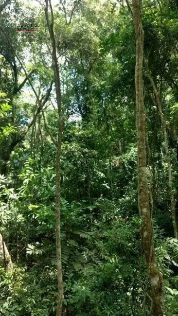 Foto 23 de Chácara à venda, 82000m2 em Joaquim Egídio, Campinas - SP