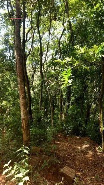 Foto 21 de Chácara à venda, 82000m2 em Joaquim Egídio, Campinas - SP