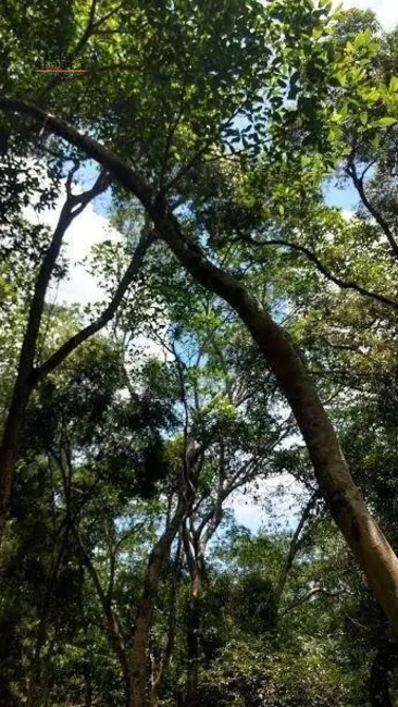 Foto 26 de Chácara à venda, 82000m2 em Joaquim Egídio, Campinas - SP