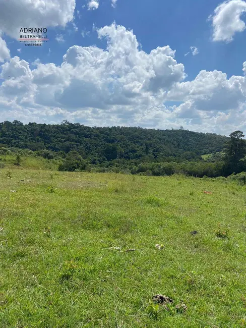 Chácara à venda, 80000m2 em Sousas, Campinas - SP - imagem 8 Foto 8 de Chácara à venda, 80000m2 em Sousas, Campinas - SP