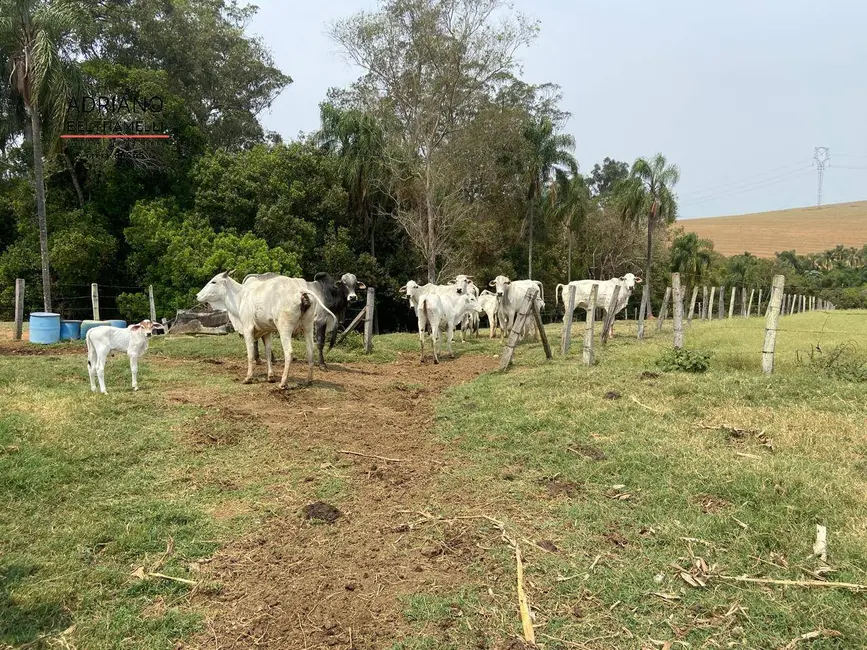Sítio / Rancho com 2 quartos à venda, 11m2 em Tuiuti - SP - imagem 9 Foto 9 de Sítio / Rancho com 2 quartos à venda, 11m2 em Tuiuti - SP