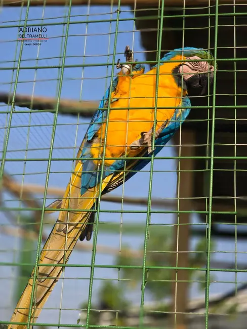 Foto 9 de Chácara com 2 quartos à venda, 20087m2 em Joaquim Egídio, Campinas - SP