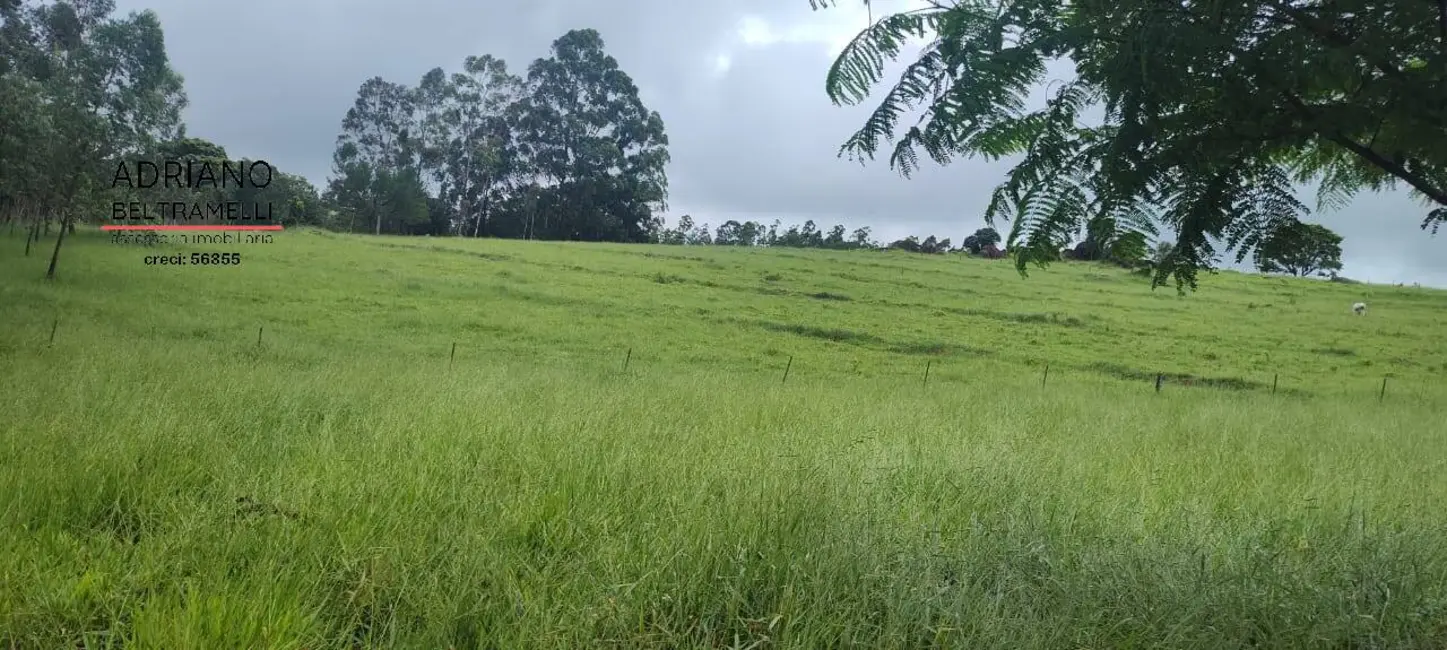 Foto 7 de Fazenda / Haras com 7 quartos à venda, 49m2 em Área Rural de Amparo, Amparo - SP