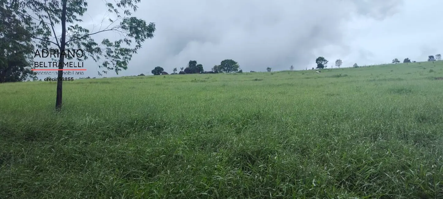 Foto 8 de Fazenda / Haras com 7 quartos à venda, 49m2 em Área Rural de Amparo, Amparo - SP